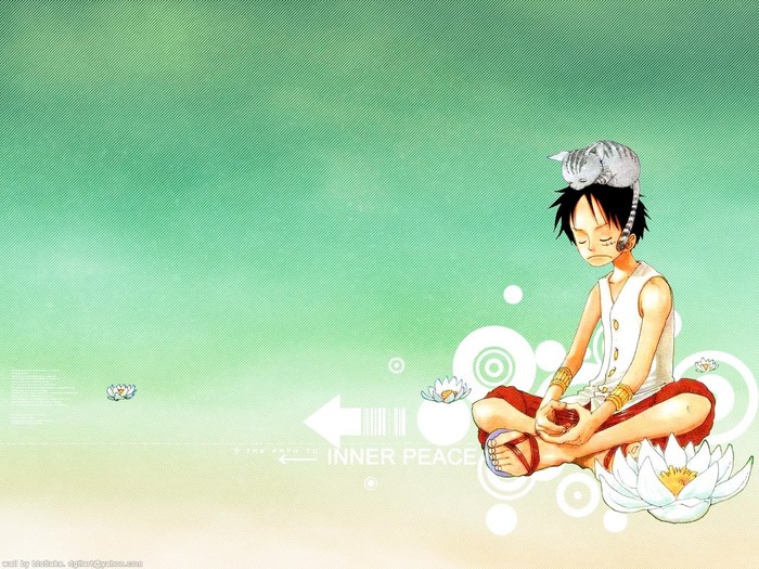 1920x1080 1920x1080 Px One Piece Backround For Mac By Newt Bishop 