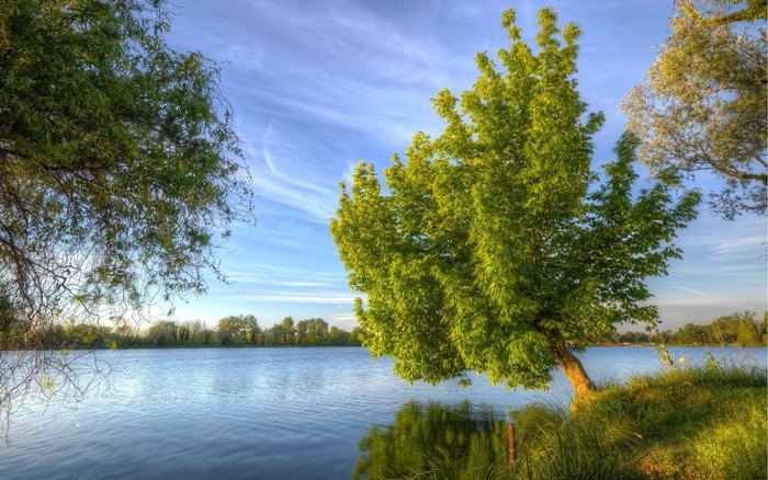 1920x1200 nature landscape lake trees wallpaper - Coolwallpapers.me!