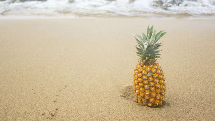 3840x2160 puertorico pina tropical 4k wallpaper JPG 578 kB ...