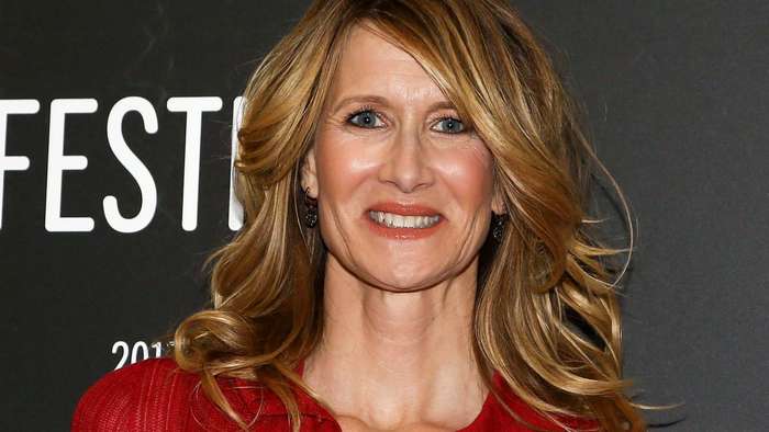 1920x1080 laura dern wallpaper hd - Coolwallpapers.me!