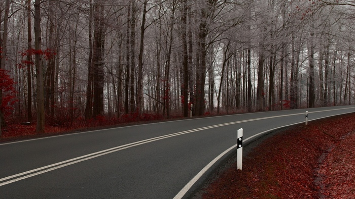 1920x1080 Photo, path, road, trees, nature, path, road, landscapes ...